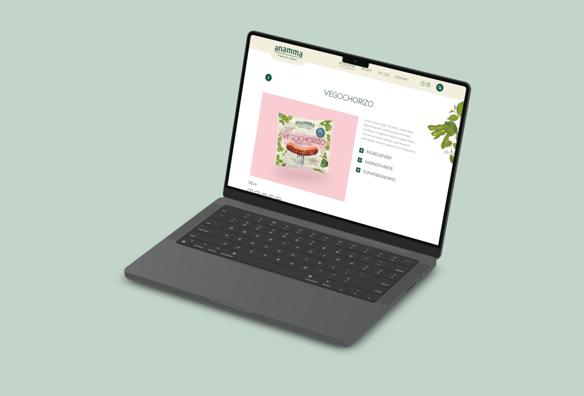 anamma-product-laptop2