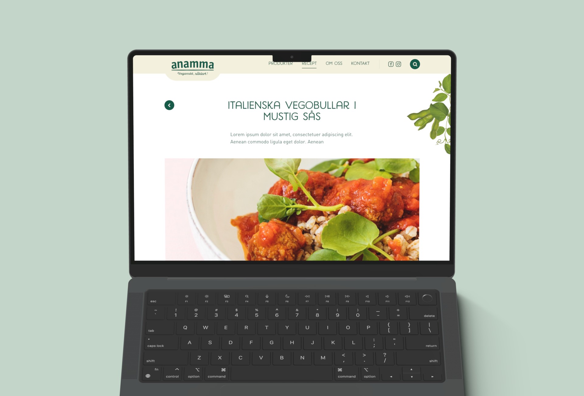 anamma-recipe-page-laptop